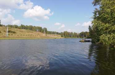 Берёзовый уют. Фото 10530.