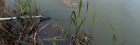КЛЁВое озеро. Фото 10538.