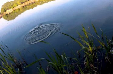 КЛЁВое озеро. Фото 10539.