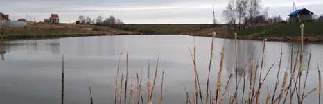 Гуляй-поле. Фото 10544.