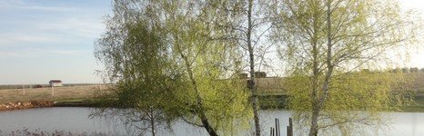 Гуляй-поле. Фото 10546.