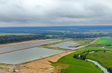 Дубровка. Фото 10576.