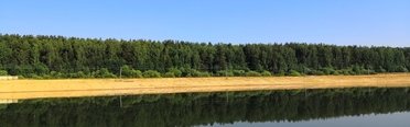 Дубровка. Фото 10579.