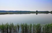 Дубровка. Фото 10582.