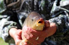 Игоревские дали. Фото 10596.