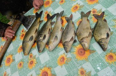 Игоревские дали. Фото 10599.