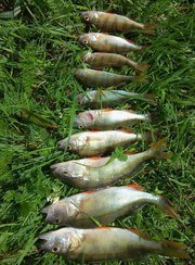 Игоревские дали. Фото 10600.