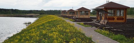 Дубровка. Фото 10654.