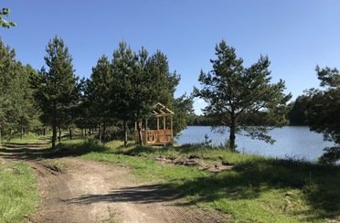 река Нетрож. Фото 10660.