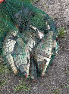 Чернавское водохранилище. Фото 10733.