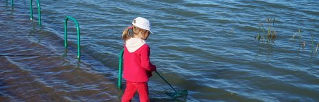 Дубровка. Фото 10740.