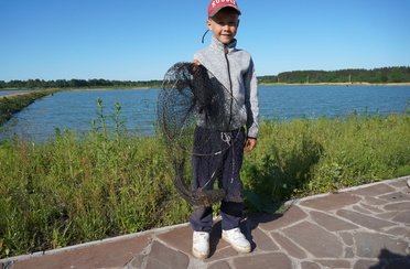 Дубровка. Фото 10754.