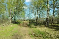 Дом на Селигере. Фото 10795.