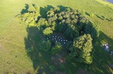 Добрая надежда. Фото 10807.