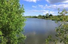 Добрая надежда. Фото 10823.