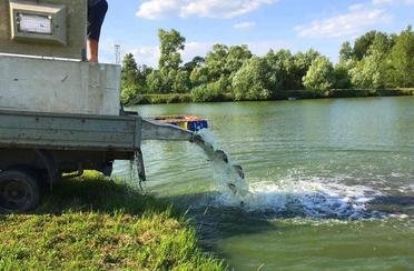 Добрая надежда. Фото 10827.