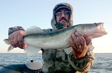 Qpfishing. Фото 10861.