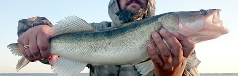 Qpfishing. Фото 10861.