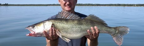 Qpfishing. Фото 10864.