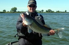 Qpfishing. Фото 10867.