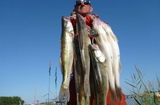 Qpfishing. Фото 10869.