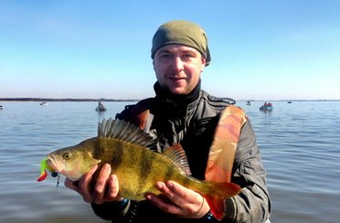 Qpfishing. Фото 10873.