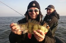 Qpfishing. Фото 10874.