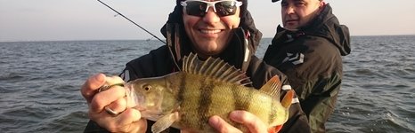 Qpfishing. Фото 10874.