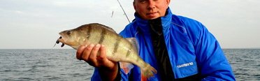 Qpfishing. Фото 10878.
