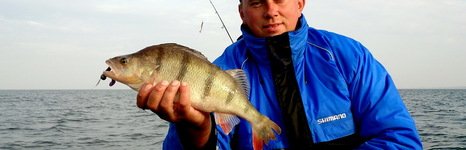 Qpfishing. Фото 10878.