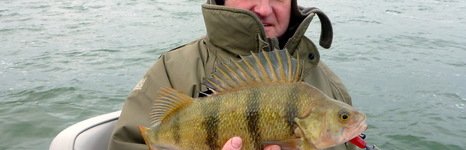 Qpfishing. Фото 10879.