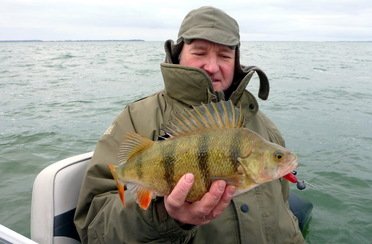 Qpfishing. Фото 10879.