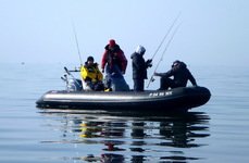 Qpfishing. Фото 10882.