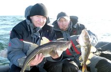 Qpfishing. Фото 10887.