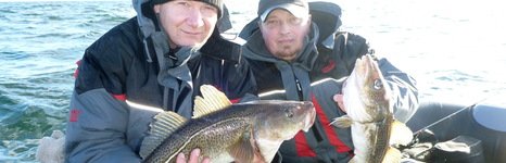 Qpfishing. Фото 10887.