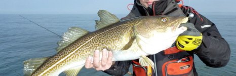 Qpfishing. Фото 10888.