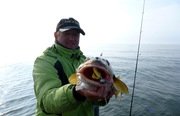 Qpfishing. Фото 10889.