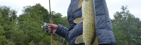 Qpfishing. Фото 10891.