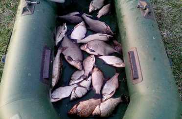 Душевный. Фото 11016.