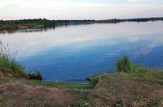 Душевный. Фото 11019.