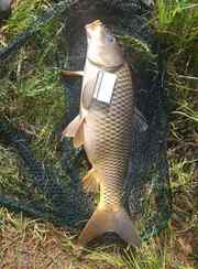 Душевный. Фото 11022.