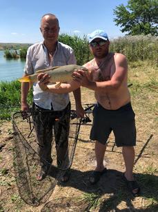 Мобис. Фото 11034.