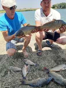 Мобис. Фото 11040.