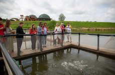 Тихий Берег. Фото 11064.