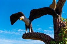 Ихтиолог. Фото 11096.