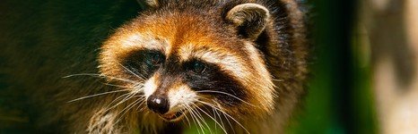 Ихтиолог. Фото 11105.