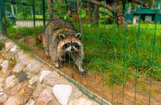 Ихтиолог. Фото 11106.