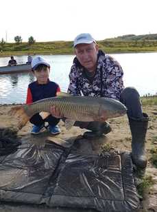 Платиновый карп. Фото 11166.