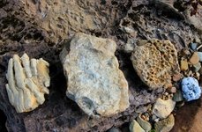 Рыболовные туры на хариуса. Фото 11219.