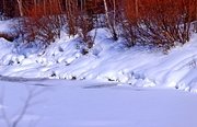 Рыбалка на хариуса зимняя. Фото 11223.